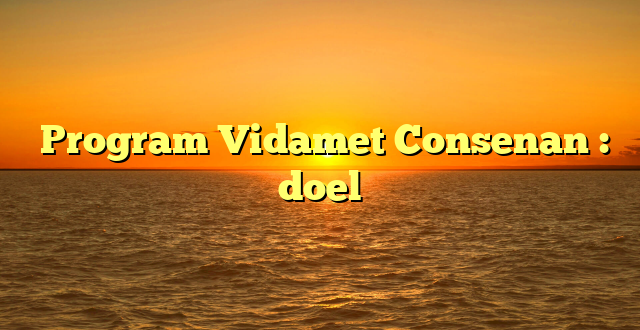  Program Vidamet Consenan : doel